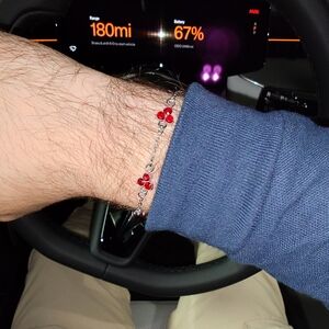 SAVA AMSTERDAM Red Clover Bracelet Silver Finish Stainless jewel waterproof Ruby